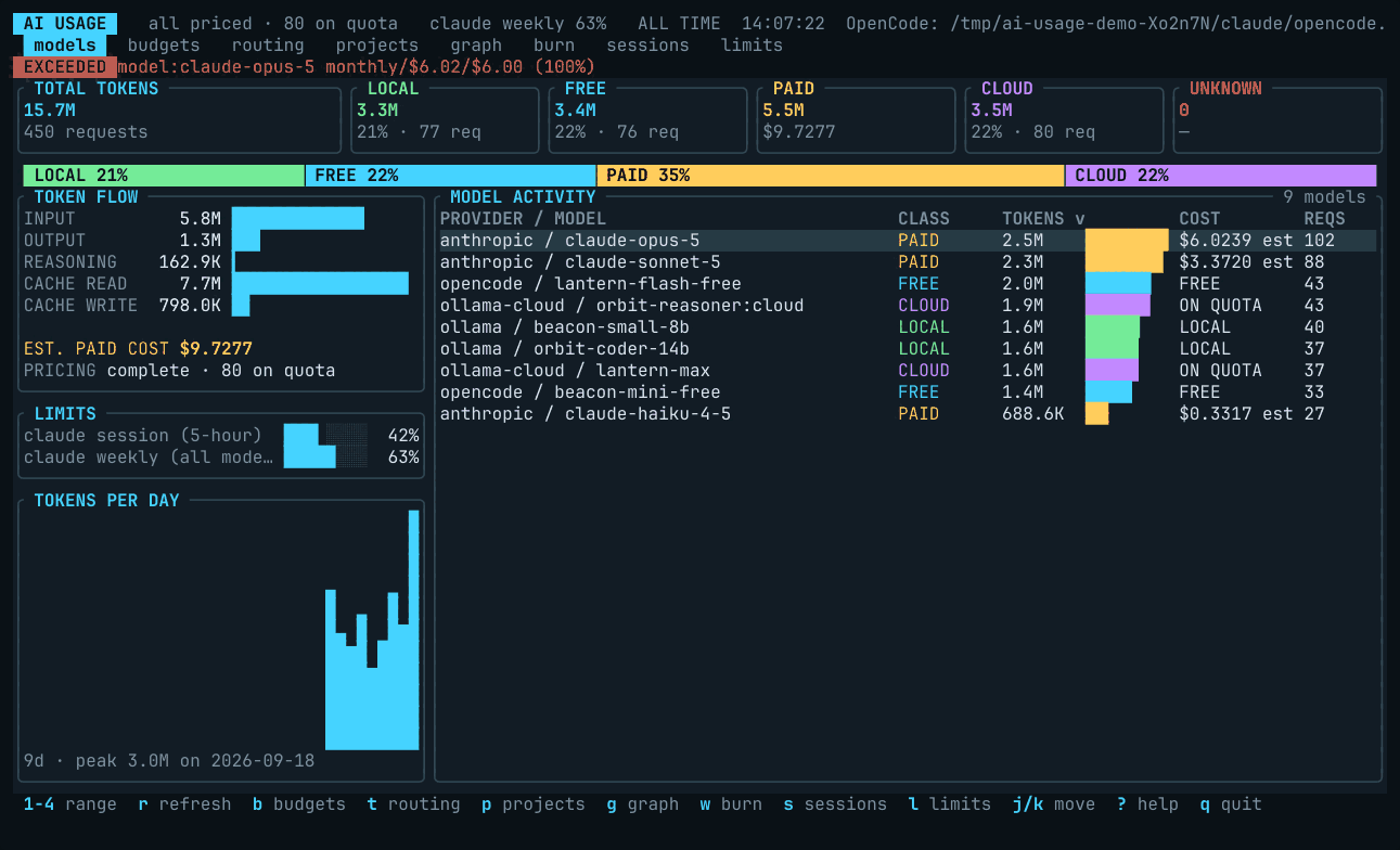 The dashboard walked panel by panel: model totals, routing analytics, a sort, a project drill-down, subscription limits, and the key reference
